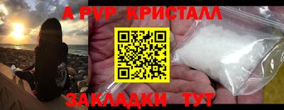 крисы Коммунар